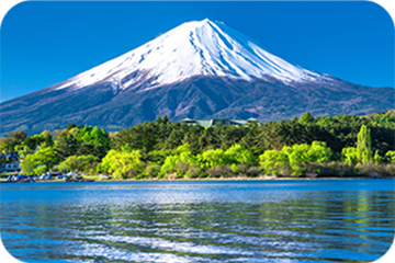 原材料は全て安心安全の日本製を使用